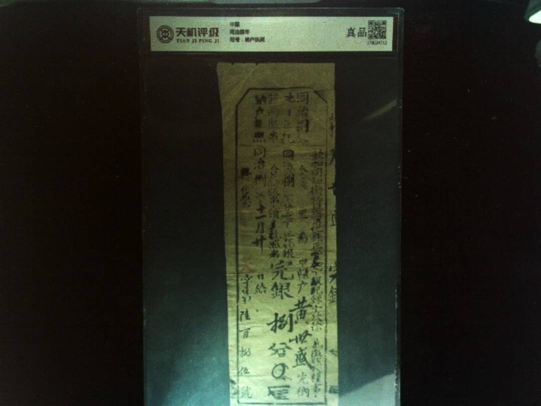 中国同治捌年，冠号纳户执照，纸币，钱币收藏