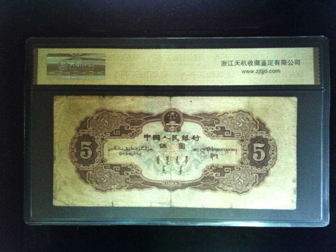 1956年 伍圆