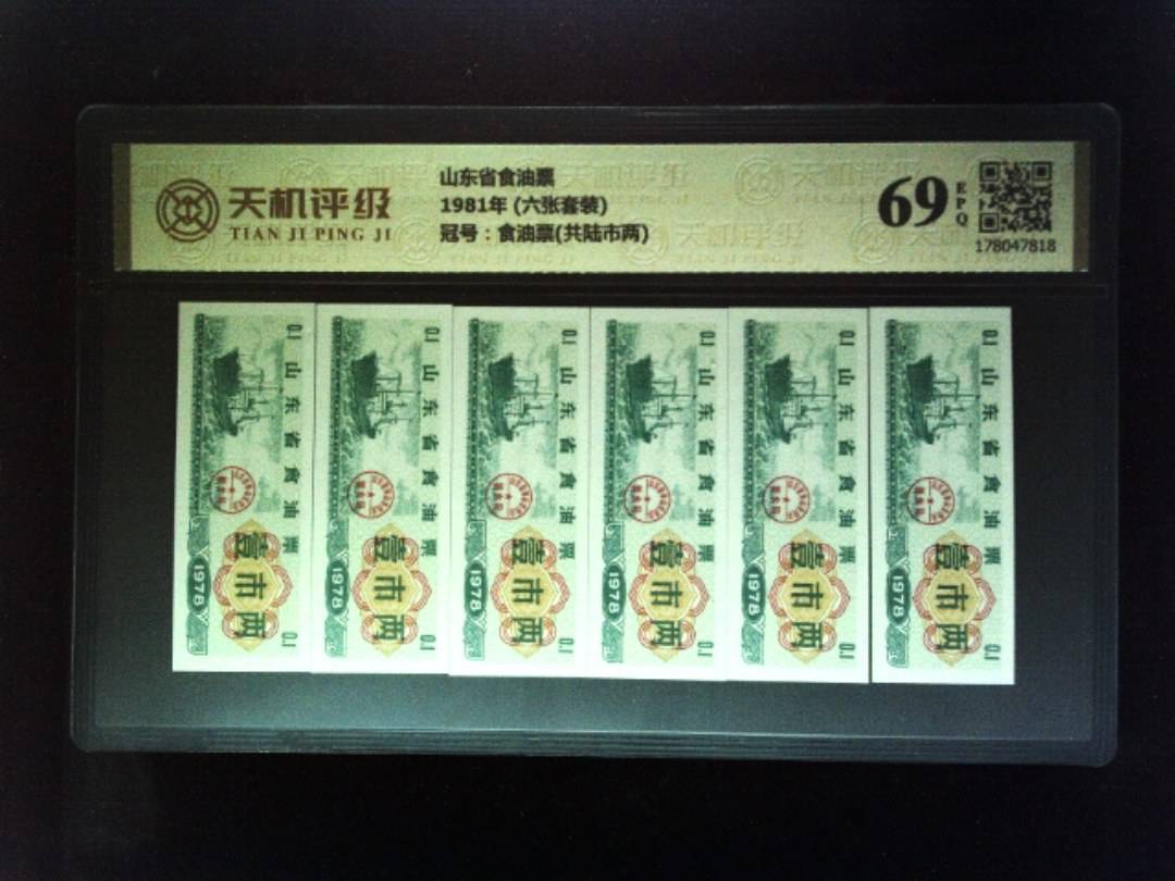 山东省食油票1981年 (六张套装)，冠号食油票(共陆市两)，纸币，钱币收藏