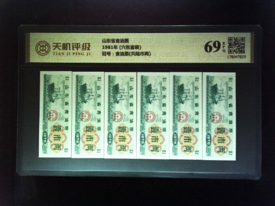 山东省食油票1981年 (六张套装)，冠号食油票(共陆市两)，纸币，钱币收藏