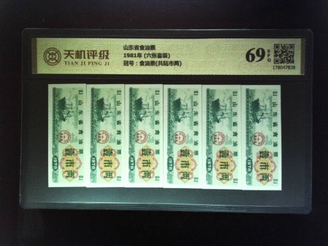 山东省食油票1981年 (六张套装)，冠号食油票(共陆市两)，纸币，钱币收藏