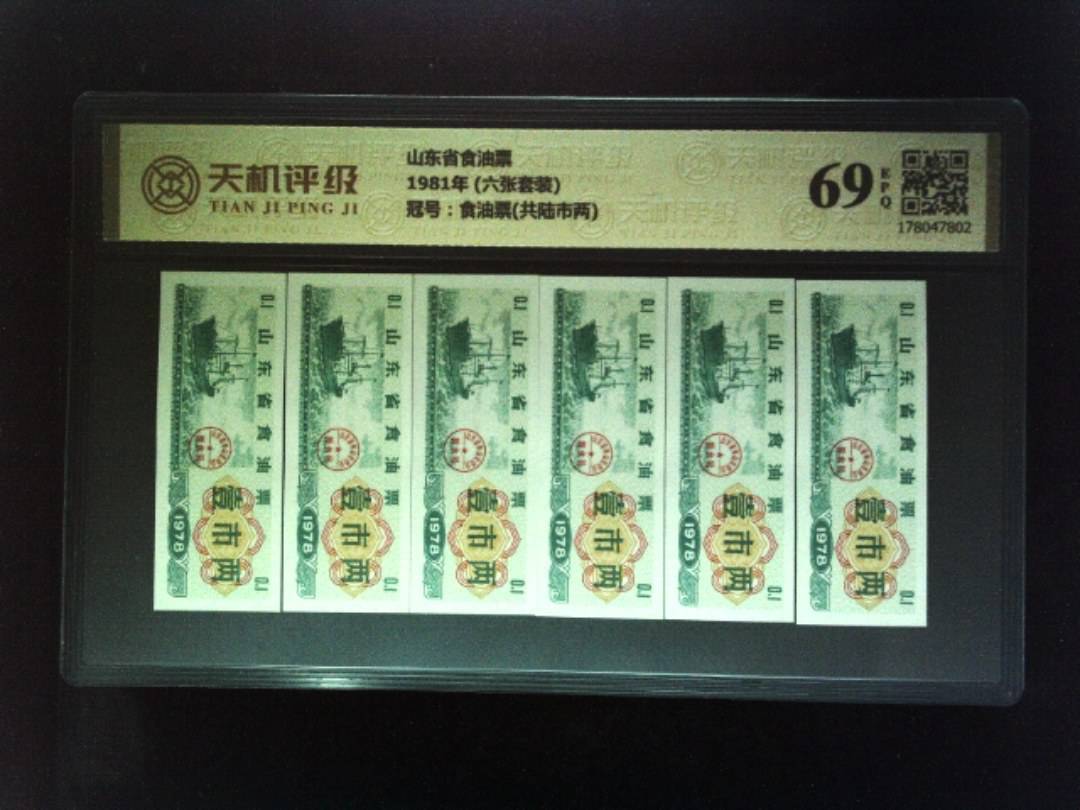 山东省食油票1981年 (六张套装)，冠号食油票(共陆市两)，纸币，钱币收藏