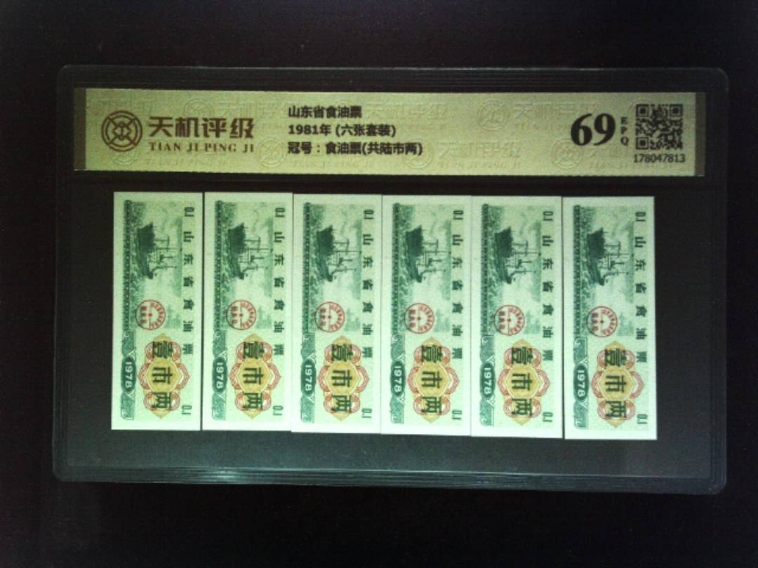 山东省食油票1981年 (六张套装)，冠号食油票(共陆市两)，纸币，钱币收藏