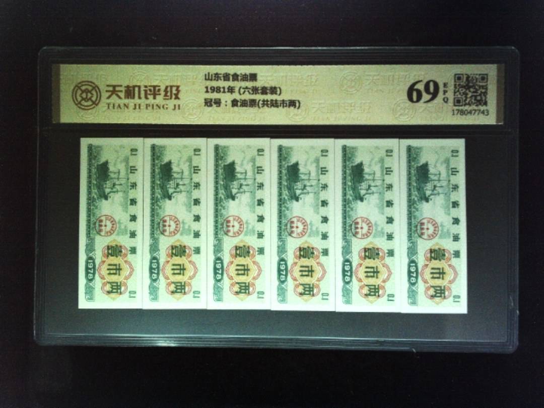 山东省食油票1981年 (六张套装)，冠号食油票(共陆市两)，纸币，钱币收藏
